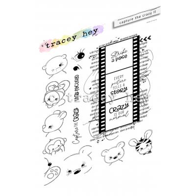 Tracey Hey Stempel - Capture The Crazy II